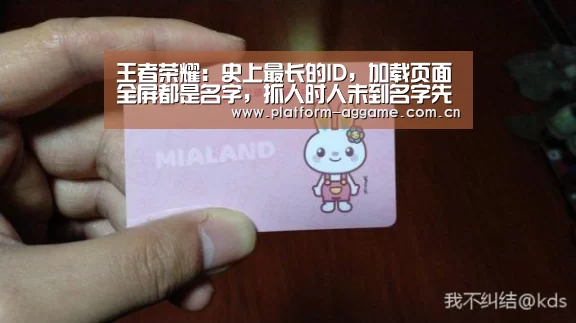 王者荣耀:史上最长的ID,加载页面全屏都是名字,抓人时人未到名字先到!|AG真人官方(图1) AG真人官方